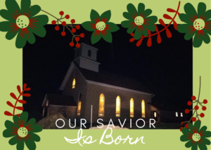 Red and Green Christmas Flowers Invitation